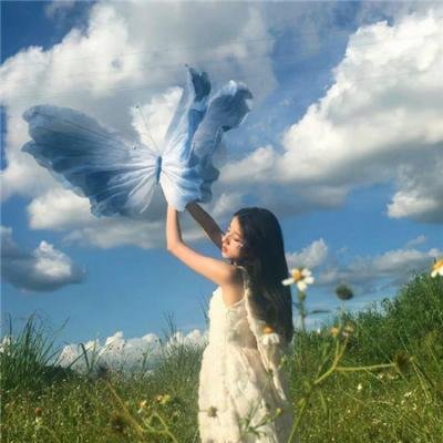 艾米丽的美国化封面